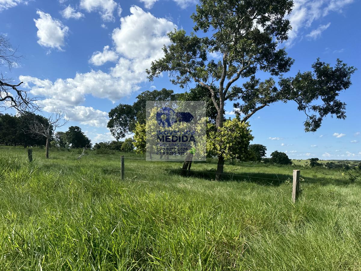 Fazenda à venda - ,Figueirão