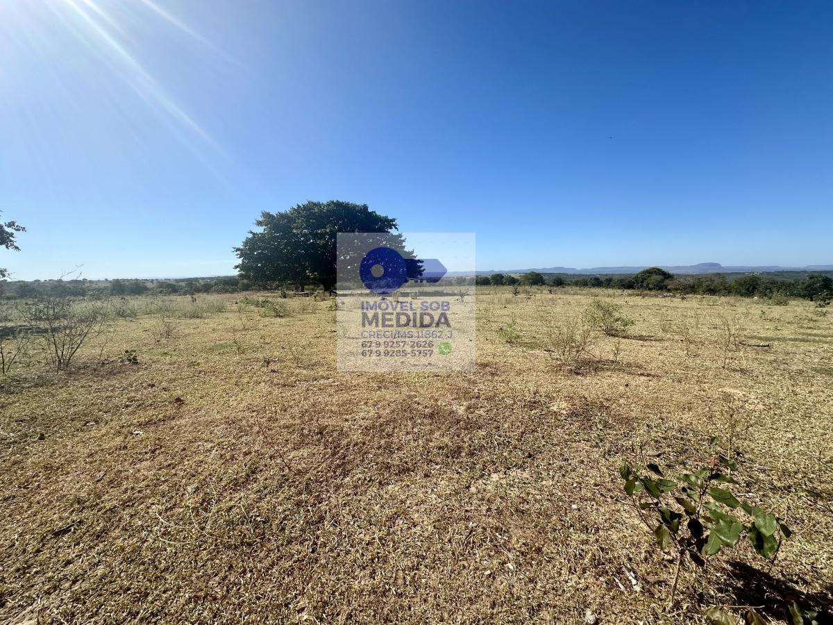 Fazenda à venda - ,Corguinho