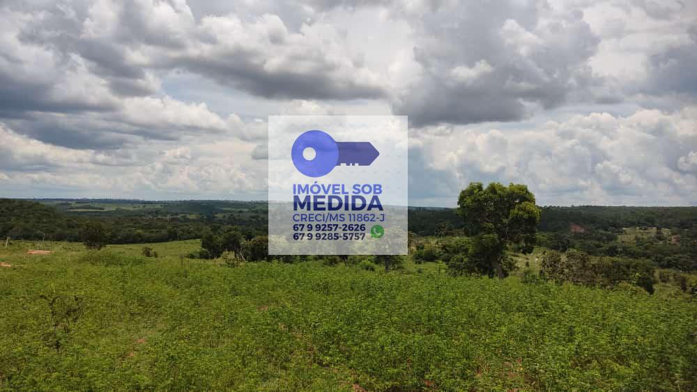  - Fazenda 673 Figueirão MS