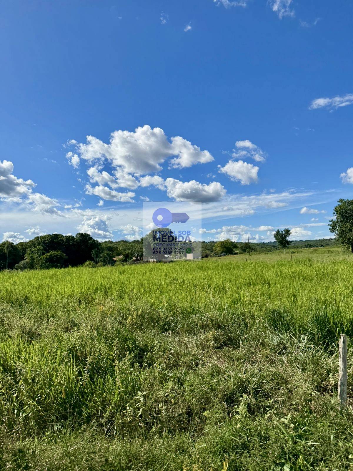 Fazenda à venda - ,Corguinho