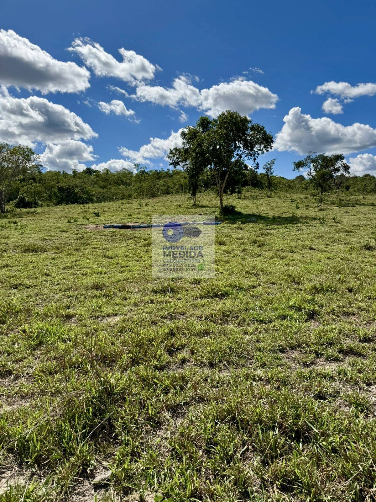 Fazenda à venda - ,Corguinho