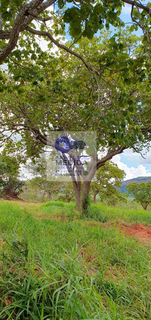 Fazenda à venda - ,Aquidauana