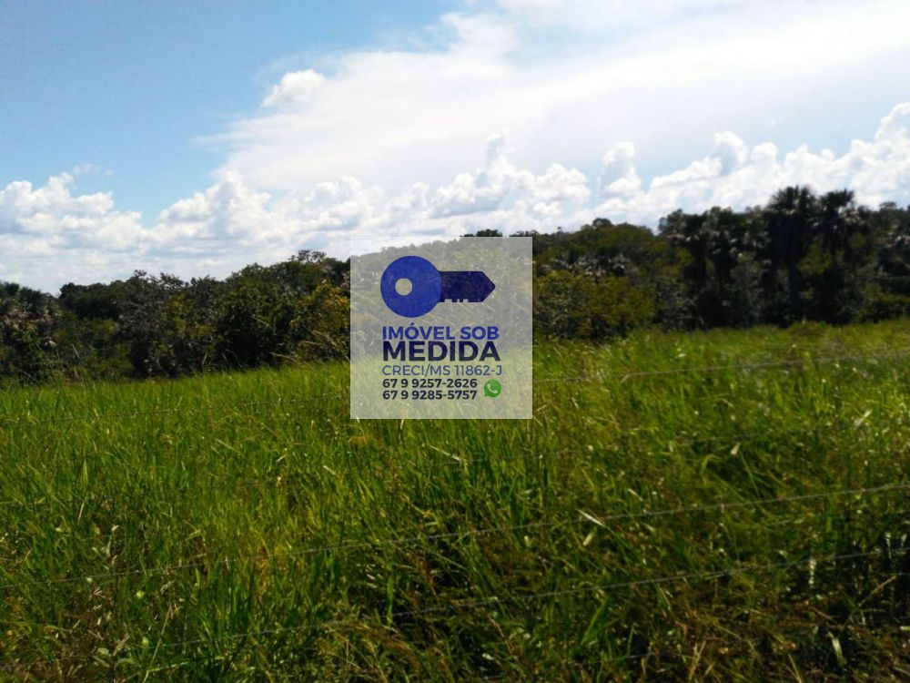 Fazenda à venda - ,Pontinha do Cocho