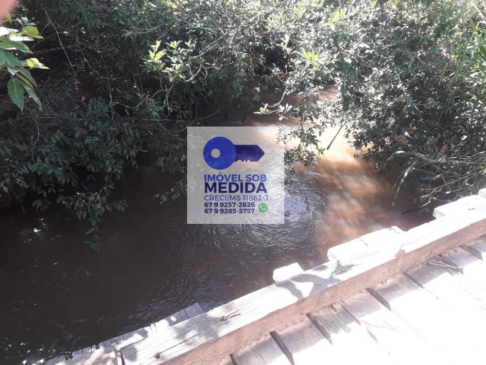  - Fazenda 438 ha Camapuã Beira da Rodovia