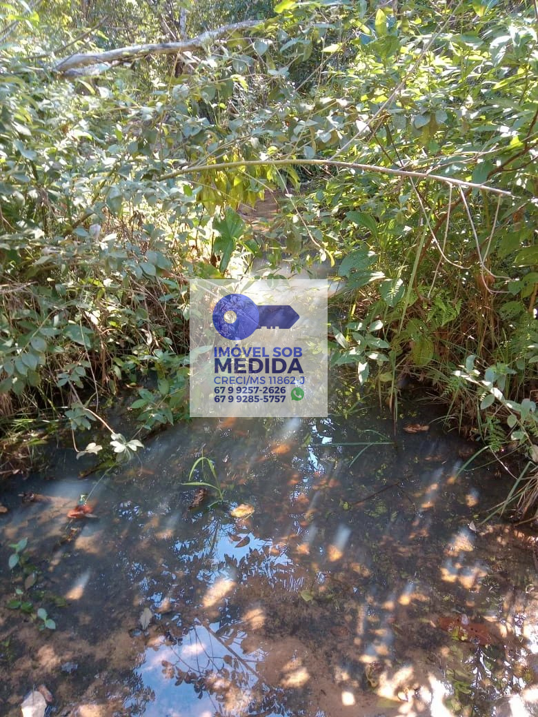  - Fazenda 368 ha Camapuã Rica em água