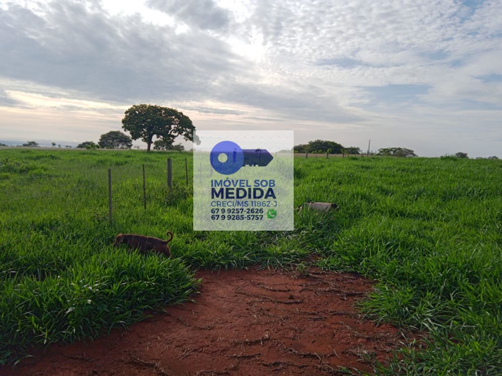  - Fazenda 713 ha Rio Verde do MT(MS)