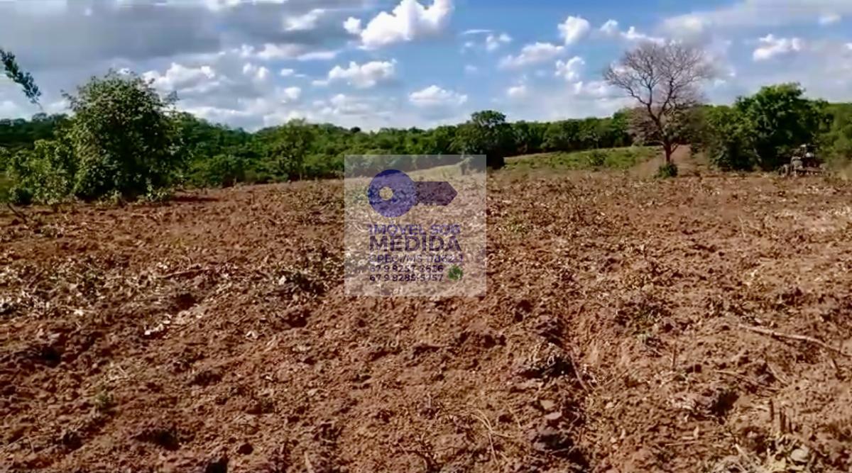 Fazenda à venda - ,Camapuã