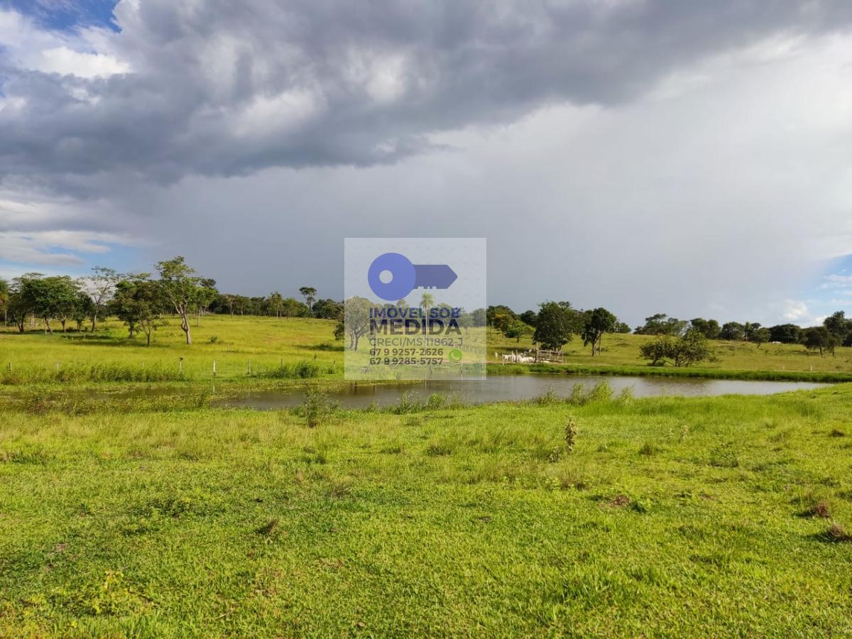 Fazenda à venda - ,Terenos