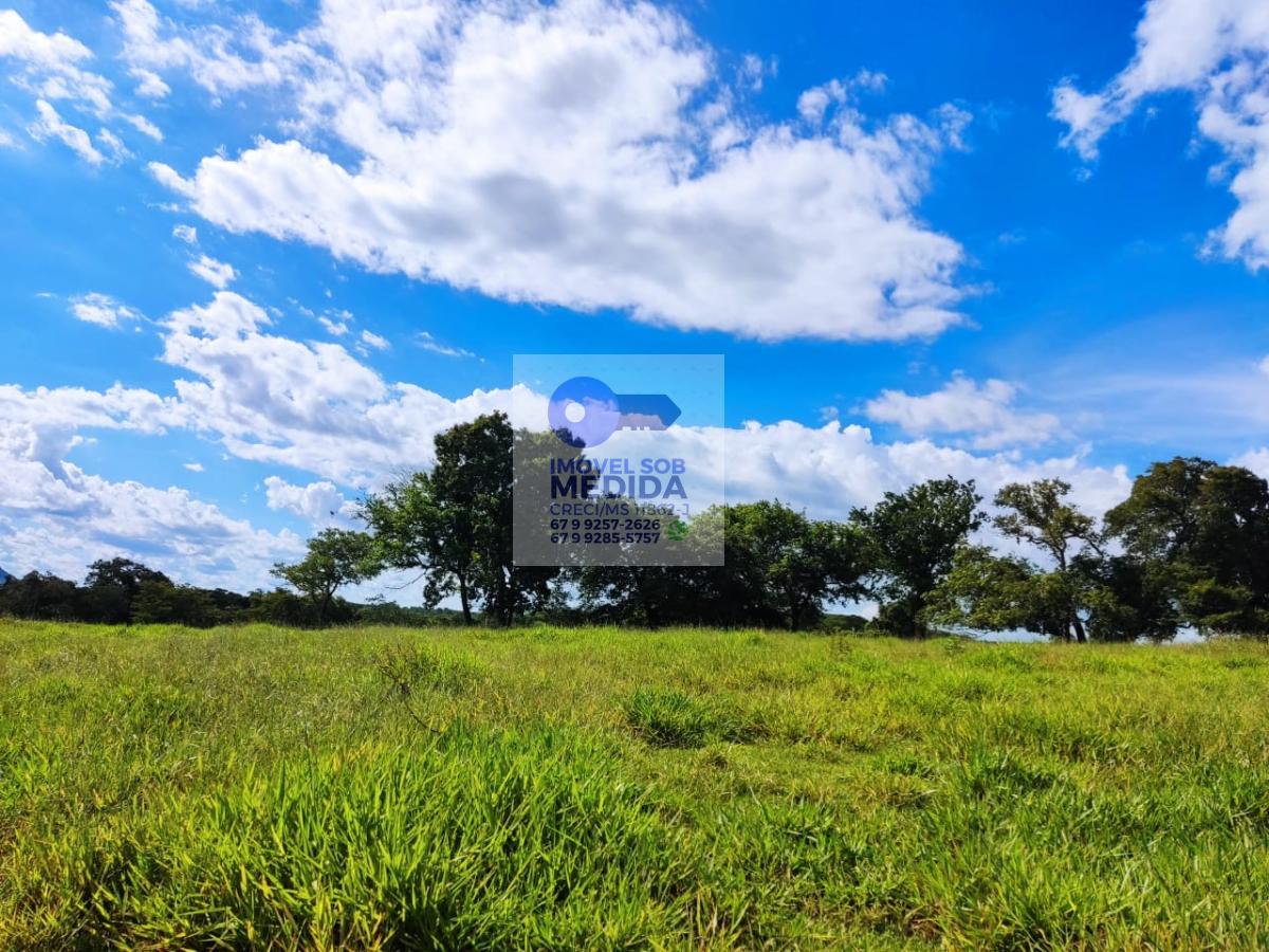 Fazenda à venda - ,Terenos