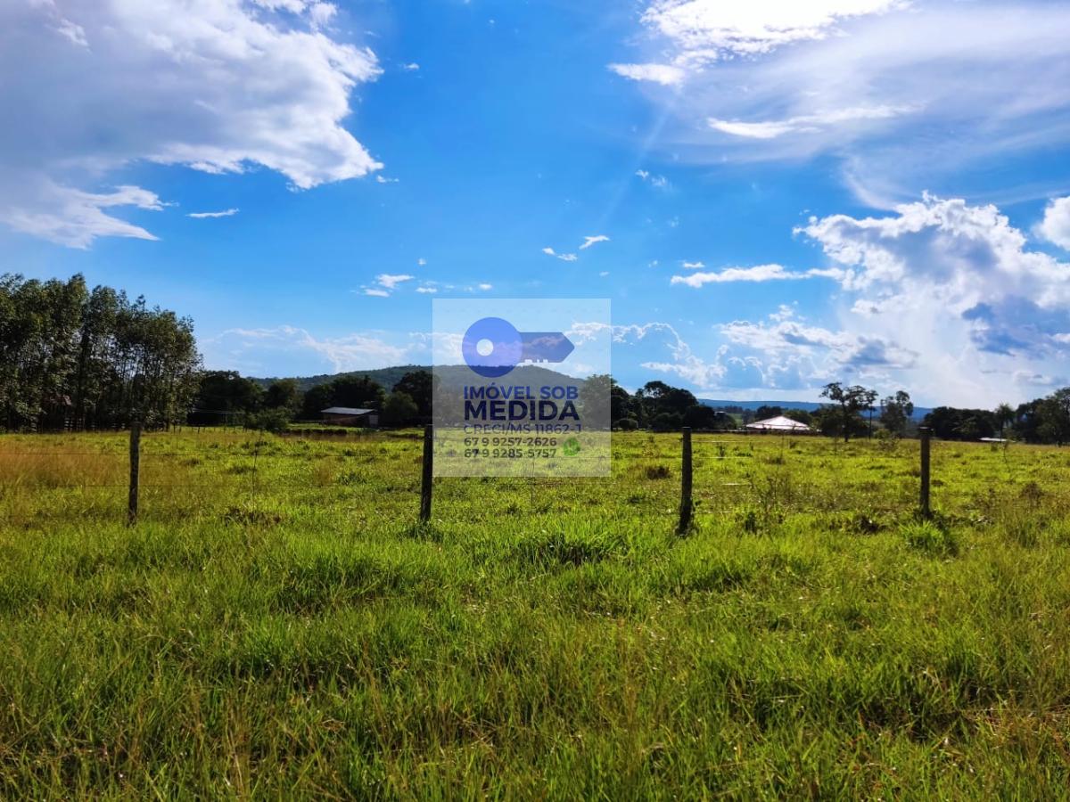 Fazenda à venda - ,Terenos