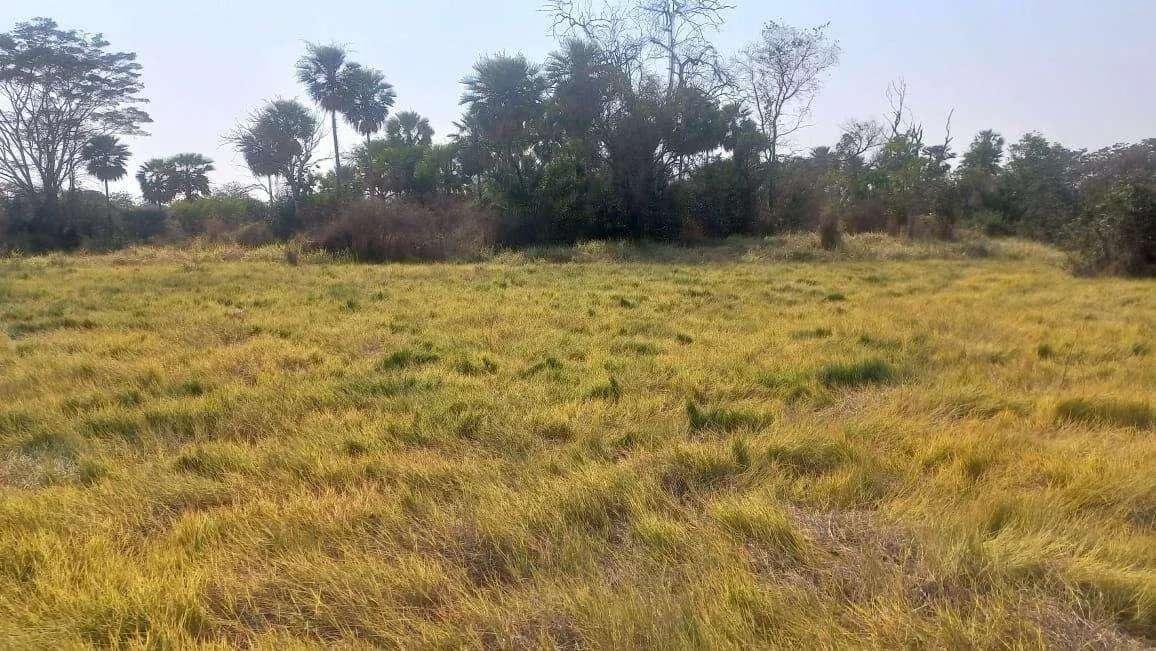 Fazenda à venda - ,Corumbá