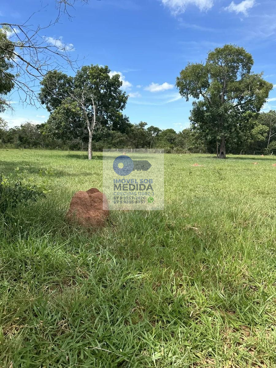 Sítio à venda - ,Rochedo