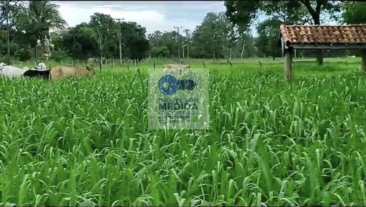 Sítio à venda - ,Aquidauana