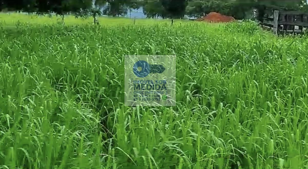 Sítio à venda - ,Aquidauana