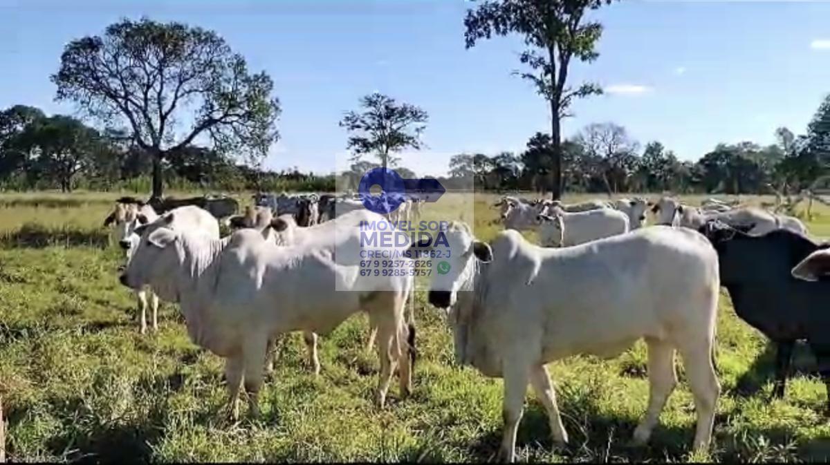  - Sítio 68,5 hectares Aquidauana